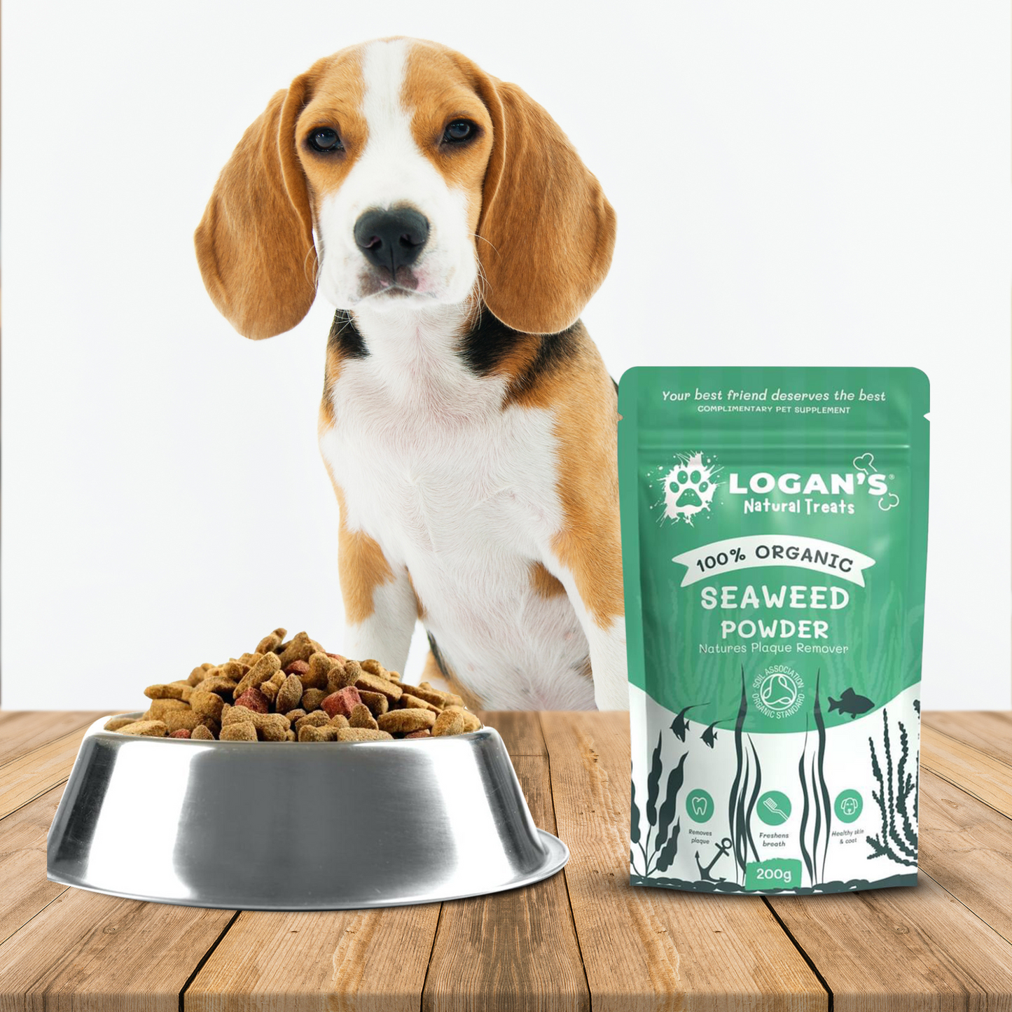 Beagle dog with food bowl and Logan’s Organic Seaweed Powder pack, a natural supplement for dental care and breath freshness.