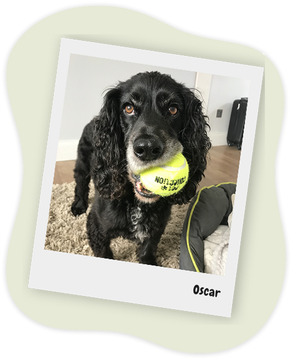 Oscar