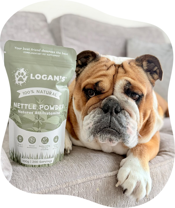 Why Cats & Dogs Love it