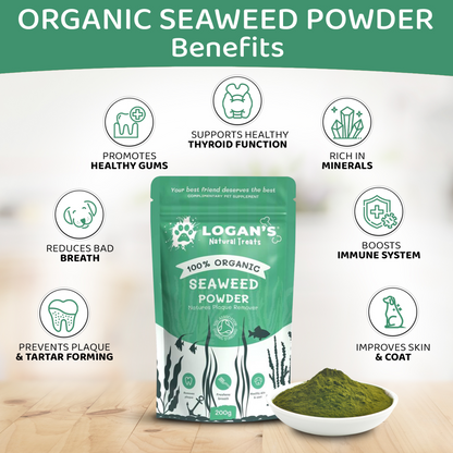Infographic showing benefits of seaweed powder for pets including gum health, thyroid support, immune function, and breath freshness.
