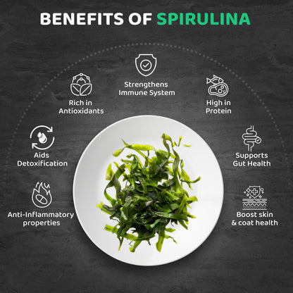 Spirulina benefits for pets including detoxification, gut health, immune support, high protein, and anti-inflammatory properties.