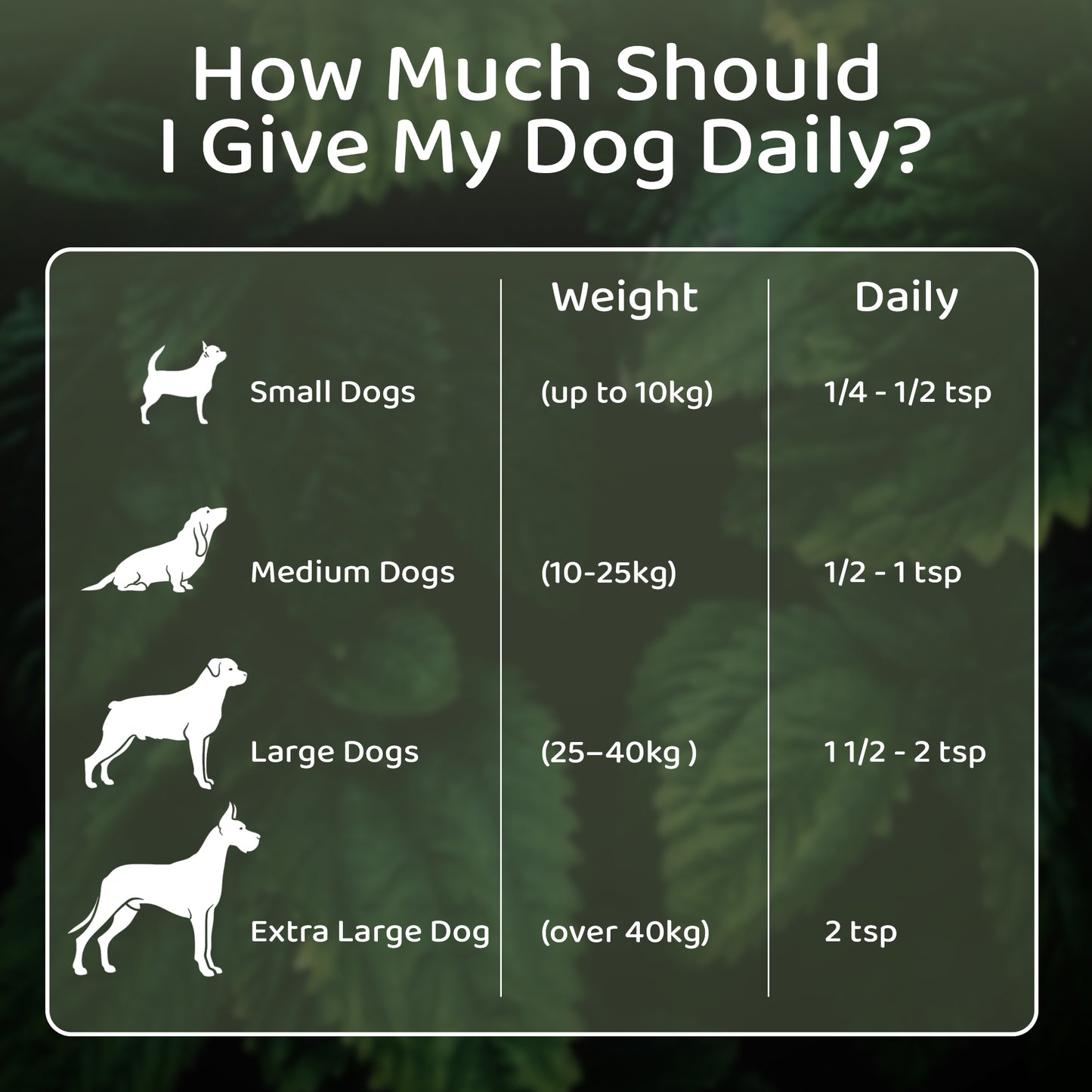 Logan's Nettle Powder – Nature's Antihistamine for Dogs & Cats