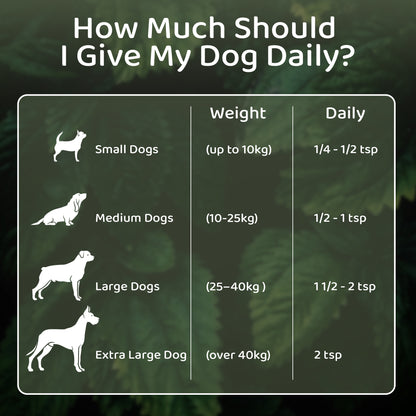 Logan's Nettle Powder – Nature's Antihistamine for Dogs & Cats