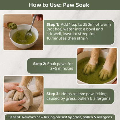 Logan's Nettle Powder – Nature's Antihistamine for Dogs & Cats