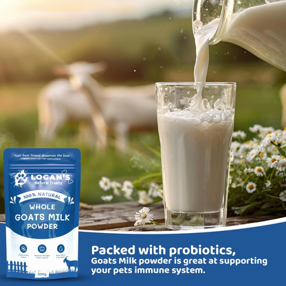 Goat's milk being poured into a glass with Logan’s Goats Milk Powder pack, highlighting probiotic support for immune health.