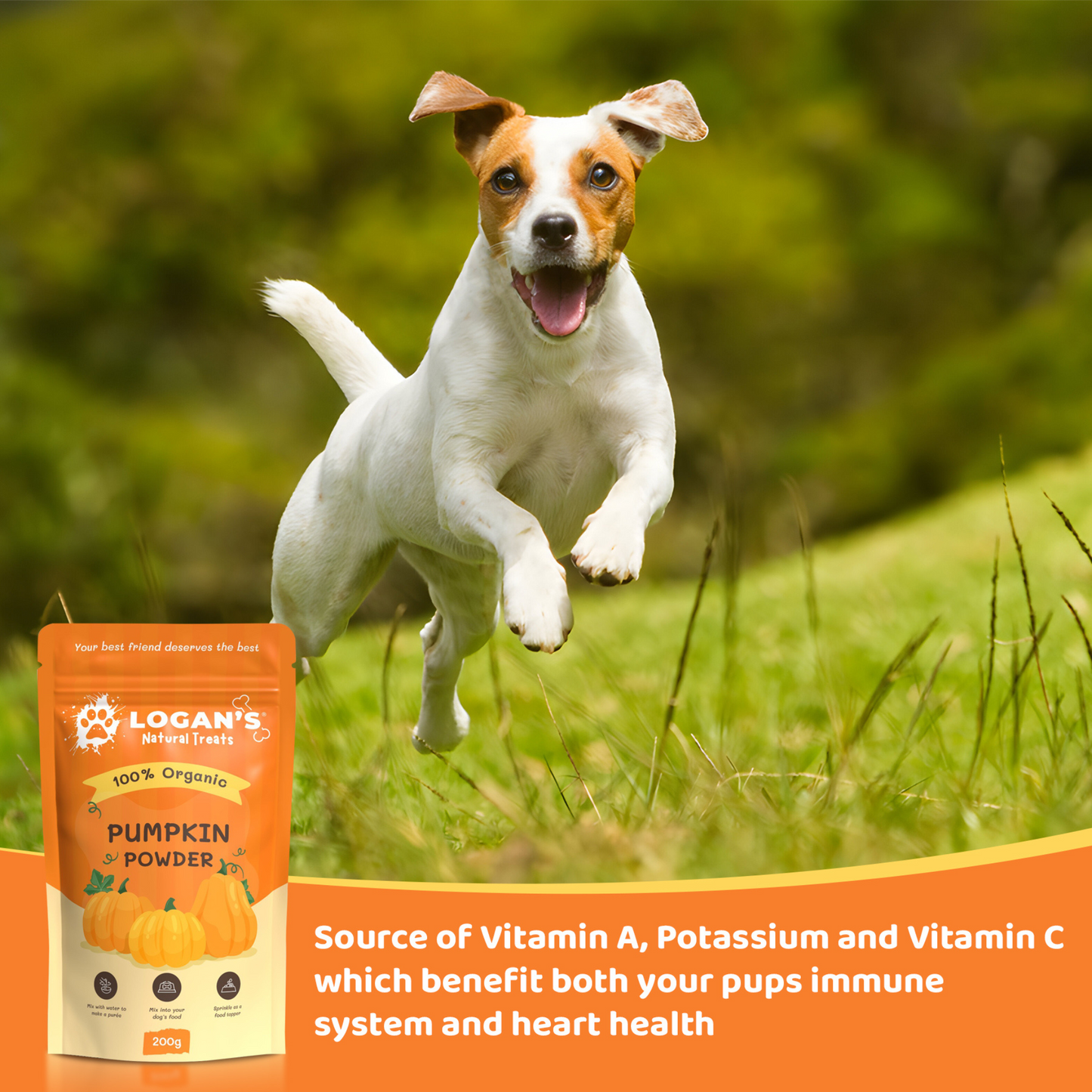 Logan’s Organic Pumpkin Powder – Natural Digestive Support for Dogs