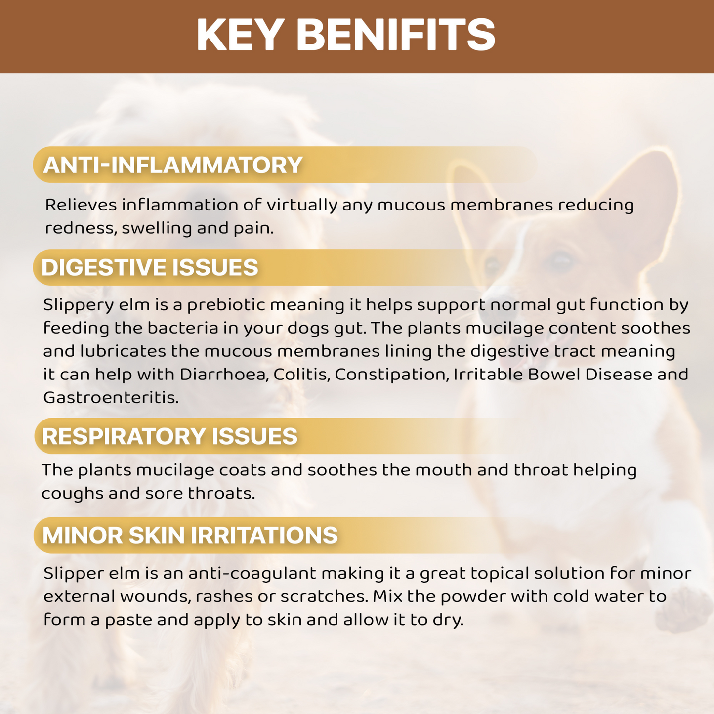 Detailed key benefits of Logan’s Slippery Elm Bark Powder for dogs, supporting gut health, inflammation, respiratory and skin issues.