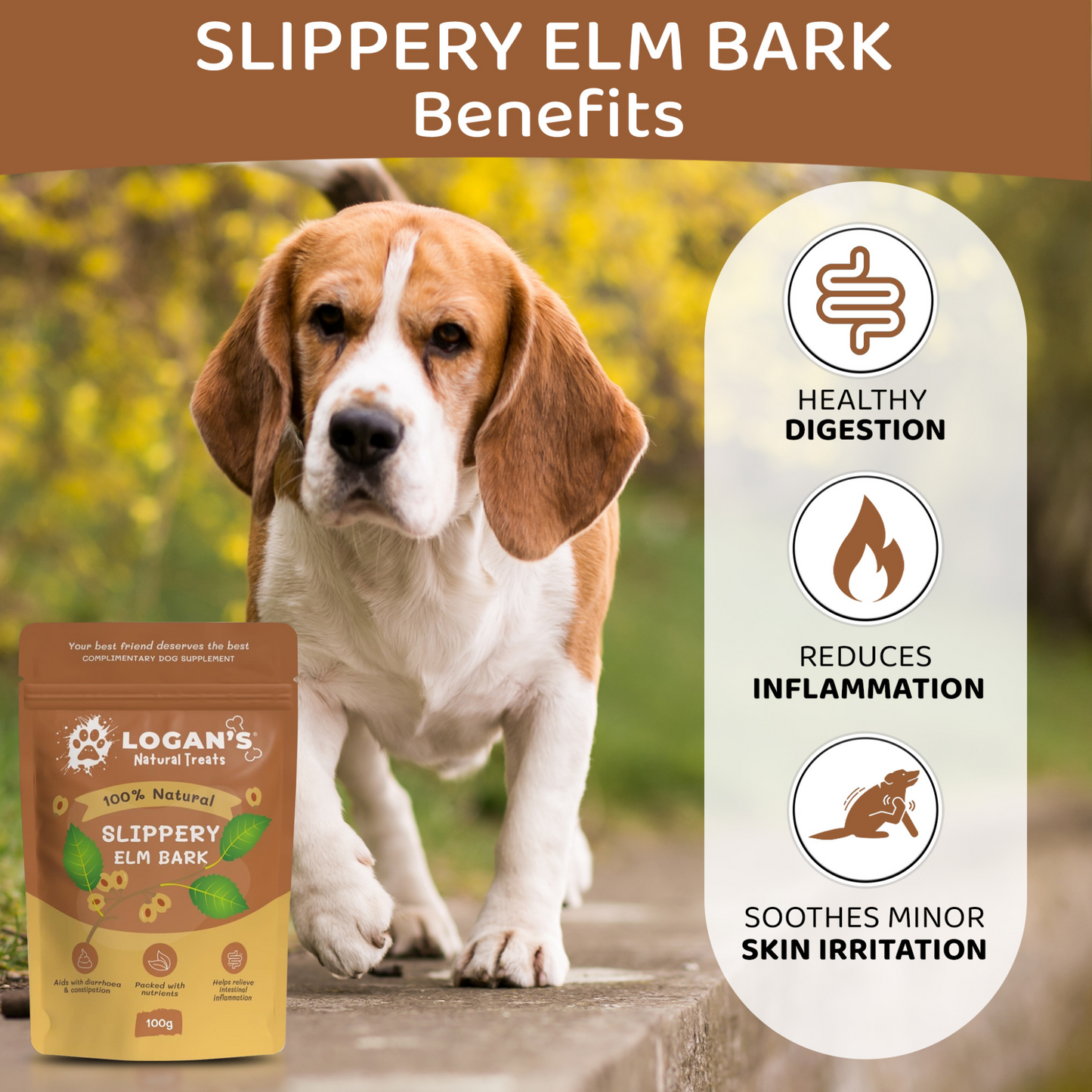 Infographic showing benefits of Slippery Elm Bark for dogs, including healthy digestion, reduced inflammation, and skin soothing.