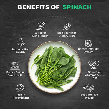 Benefits of spinach for pets including bone health, antioxidants, and gut health