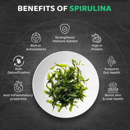 Benefits of spirulina for pets including immune support, detoxification, and high protein content